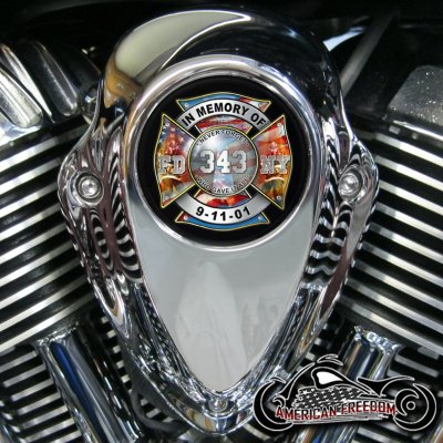 Indian Thunder Stroke Horn Insert - 343 In Memory