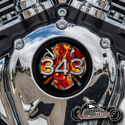 Indian Thunder Stroke Cam Insert - 343