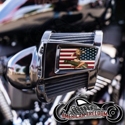 Harley 2019-2024 Heavy Breather Insert - American Bombshell