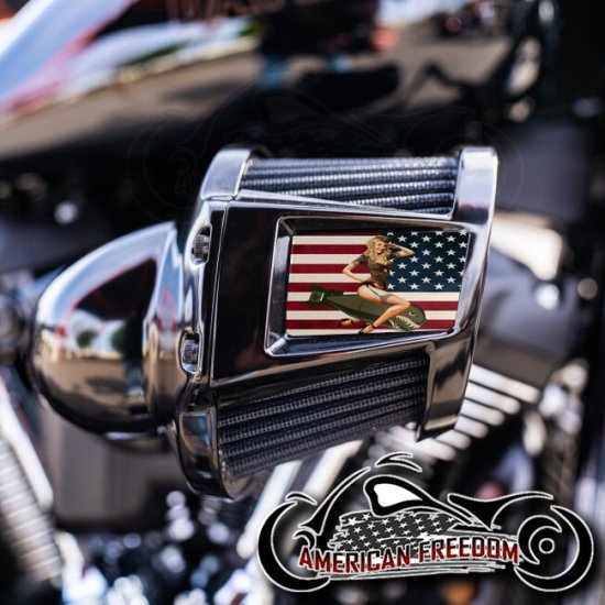 Harley 2019-2024 Heavy Breather Insert - American Bombshell