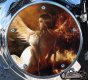 Custom Timing Cover - Angel Good & Evil