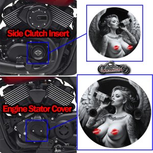 Harley Davidson XG500/XG750 2 Piece Set Angel Cognac