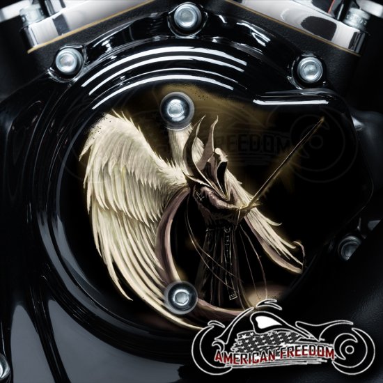 Harley Davidson VVT Cam Housing Unit - Angel of Death