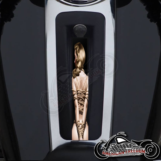 Harley Ultra Limited Dash Insert - Bondage Pin Up