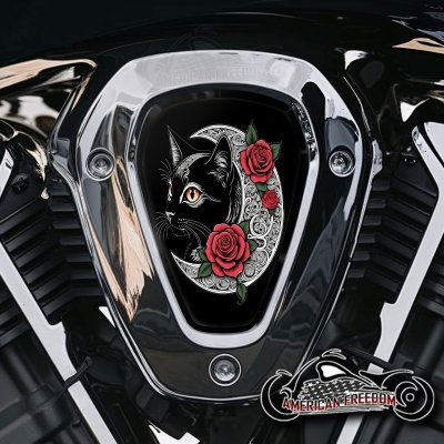 Indian Challenger Pursuit V Cover Inserts - Cat and Rose Moon