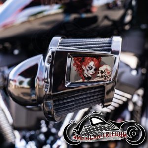 Harley 2019-2024 Heavy Breather Insert - Clown Hearts
