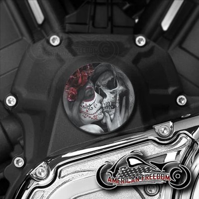 Indian Challenger Pursuit Water Pump Insert - Death Kiss Red