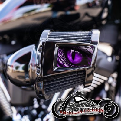 Harley 2019-2024 Heavy Breather Insert - Dragon Eye Purple