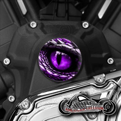 Indian Challenger Pursuit Water Pump Insert - Dragon Purple