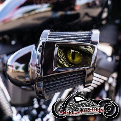 Harley 2019-2024 Heavy Breather Insert - Dragon Eye Yellow