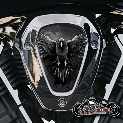 Indian Challenger Pursuit V Cover Inserts - Flying Raven