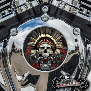 Indian Thunder Stroke Cam Insert - Motor Skull Red