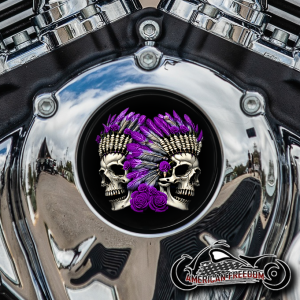 Indian Thunder Stroke Cam Insert - Skull Roses Purple