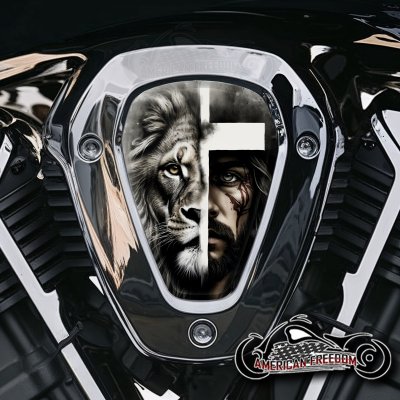 Indian Challenger Pursuit V Cover Inserts - Lion Jesus