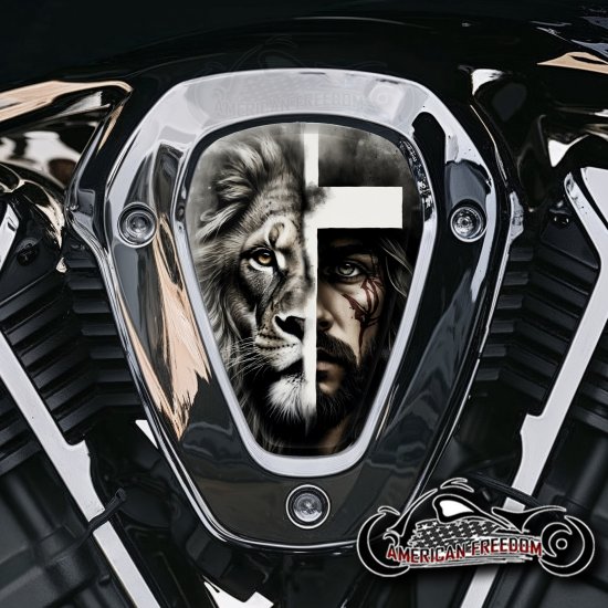 Indian Challenger Pursuit V Cover Inserts - Lion Jesus