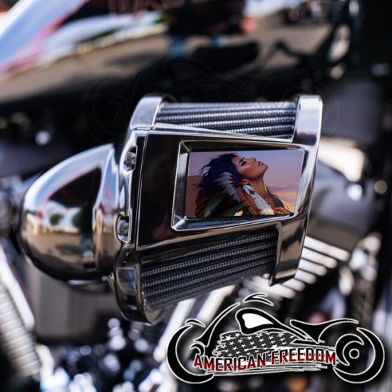 Harley 2019-2024 Heavy Breather Insert - Native Sunset