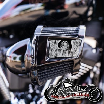 Harley 2019-2024 Heavy Breather Insert - Nude Angel