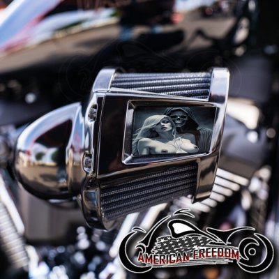 Harley 2019-2024 Heavy Breather Insert - Nude Soul