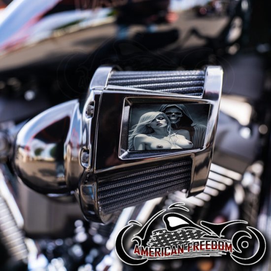 Harley 2019-2024 Heavy Breather Insert - Nude Soul