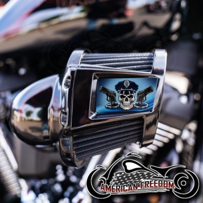 Harley 2019-2024 Heavy Breather Insert - Police Skull