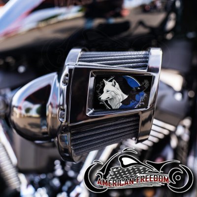 Harley 2019-2024 Heavy Breather Insert - Raven Wolf Blue