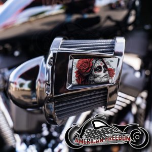 Harley 2019-2024 Heavy Breather Insert - Scarf Sugar Skull