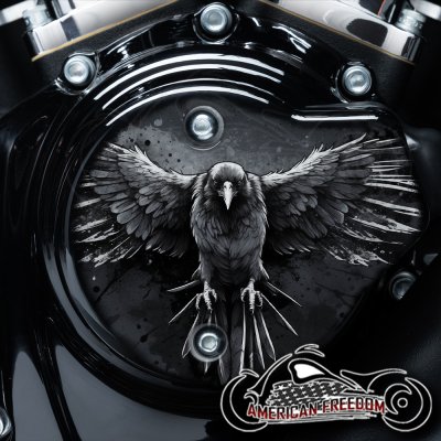 Harley Davidson VVT Cam Housing Unit - Flying Raven