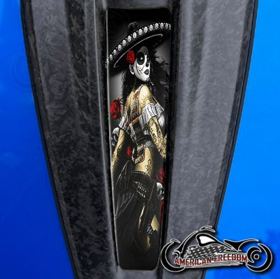 2023+ Harley CVO Dash Insert Bandita red roses