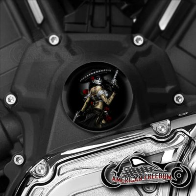 Indian Challenger Pursuit Water Pump Insert - Bandita