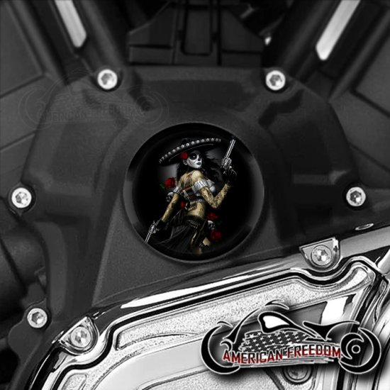 Indian Challenger Pursuit Water Pump Insert - Bandita