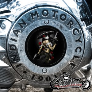 Indian Motorcycles Thunder Stroke Derby Insert - Bandita