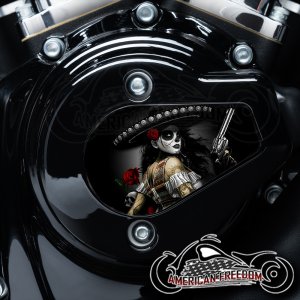 Harley Davidson VVT Timing Medallion - Bandita