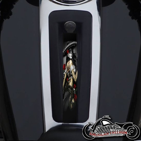 Harley Ultra Limited Dash Insert - Bandita