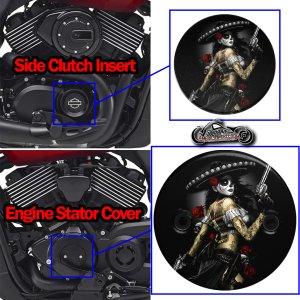 Harley Davidson XG500/XG750 2 Piece Set Bandita