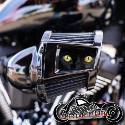 Harley 2019-2024 Heavy Breather Insert - Black Cat Eyes