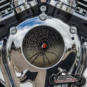 Indian Thunder Stroke Cam Insert - Black Widow