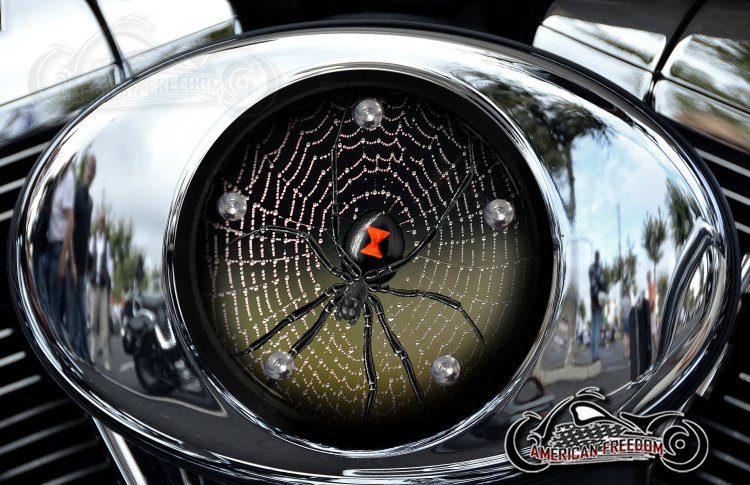 Custom Air Cleaner Cover - Spider on web w/ dew
