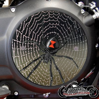 Victory Derby Cover - Black Widow On Web