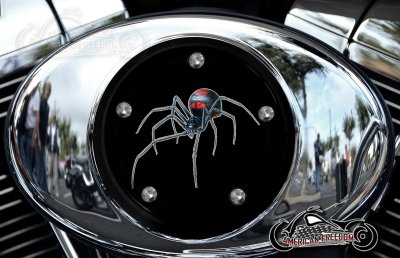Custom Air Cleaner Cover - Black Widow