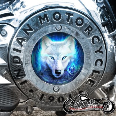 Thunder Stroke Derby Insert - Blue Wolf