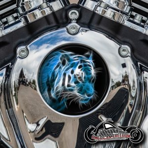 Indian Thunder Stroke Cam Insert - Blue Tiger