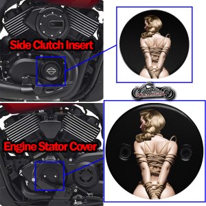 Harley Davidson XG500/XG750 2 Piece Set Bondage