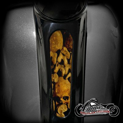 Harley 8 Inch Dash Insert - Bone Pile