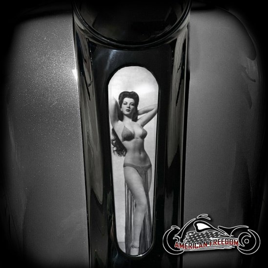 Harley 8 Inch Dash Insert - Vintage Brunette