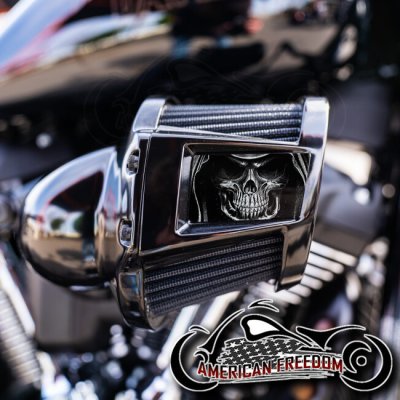 Harley 2019-2024 Heavy Breather Insert - Reaper (B&W)