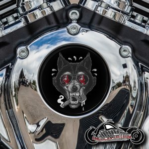 Indian Thunder Stroke Cam Insert - Cigar Wolf