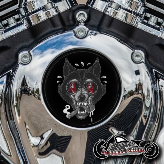 Indian Thunder Stroke Cam Insert - Cigar Wolf