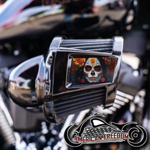 Harley 2019-2024 Heavy Breather Insert - Floral Sugar Skull