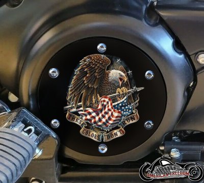SUZUKI M109R Derby/Engine Cover - Colors Don't Run