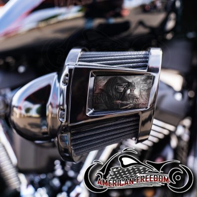 Harley 2019-2024 Heavy Breather Insert - Reaper & Blade